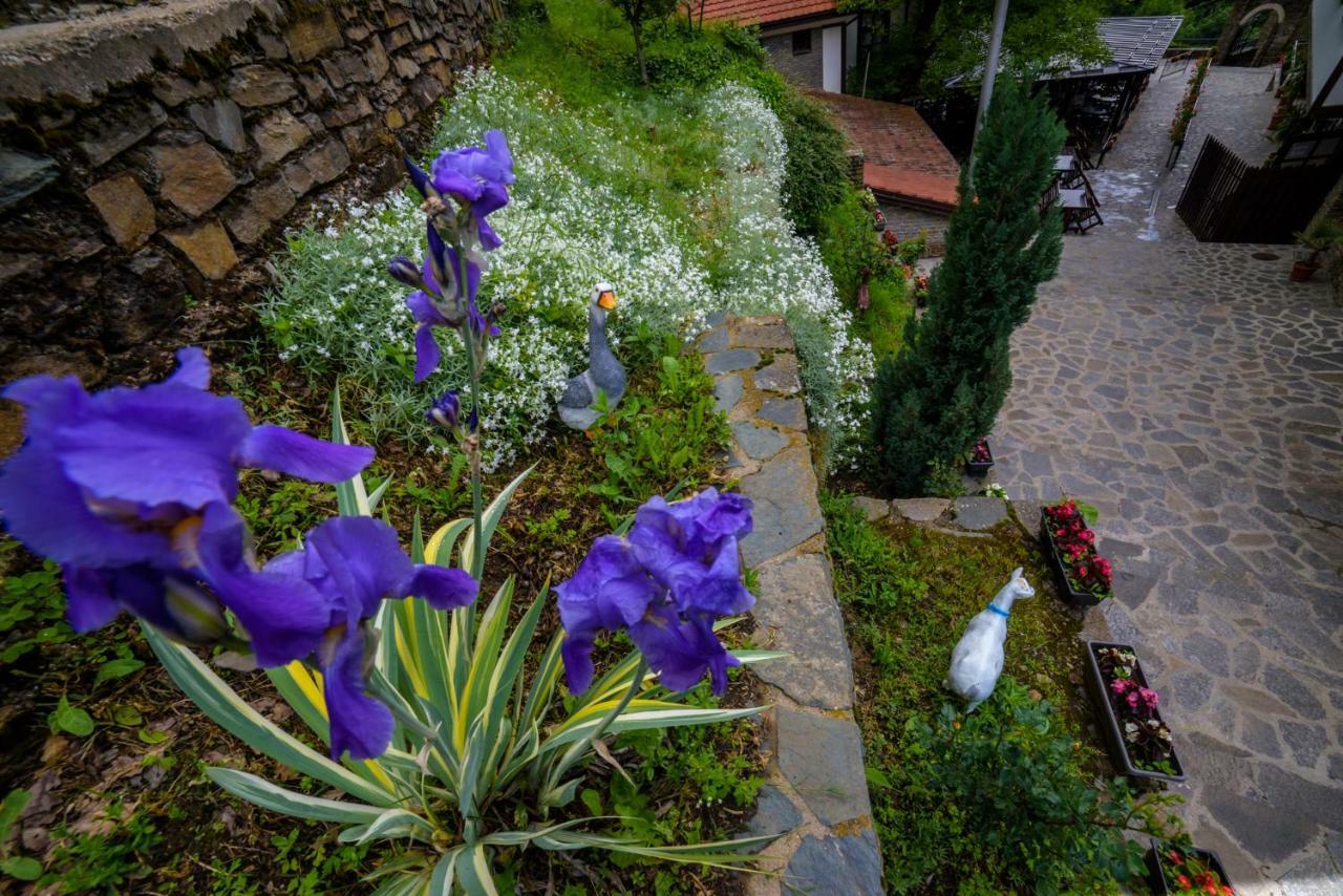 Kriva Palanka Hotel Manastir Sv. Joakim Osogovski מראה חיצוני תמונה